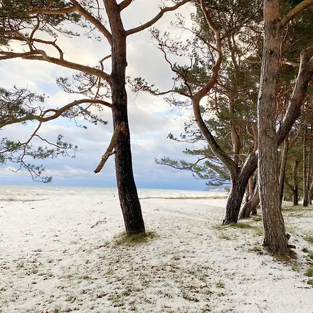 Kurparkresidenz - Whg 14 아파트 바베