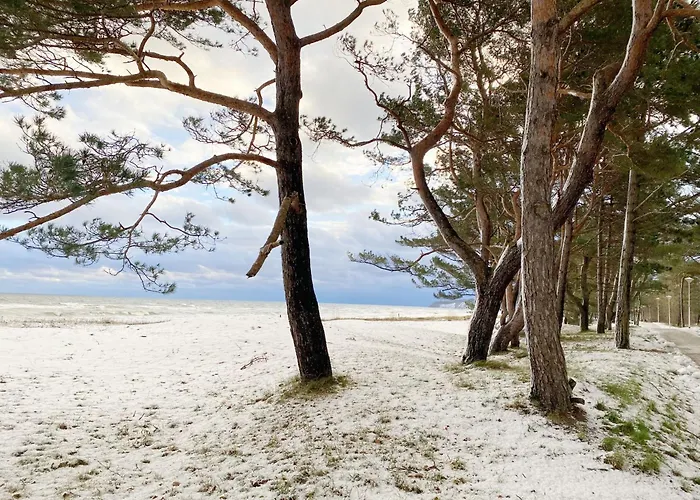 Kurparkresidenz - Whg 14 Daire Baabe