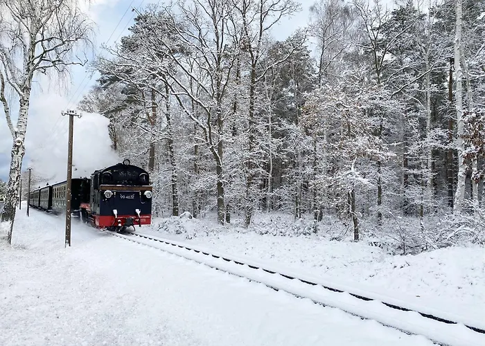 Daire Kurparkresidenz - Whg 14 Baabe